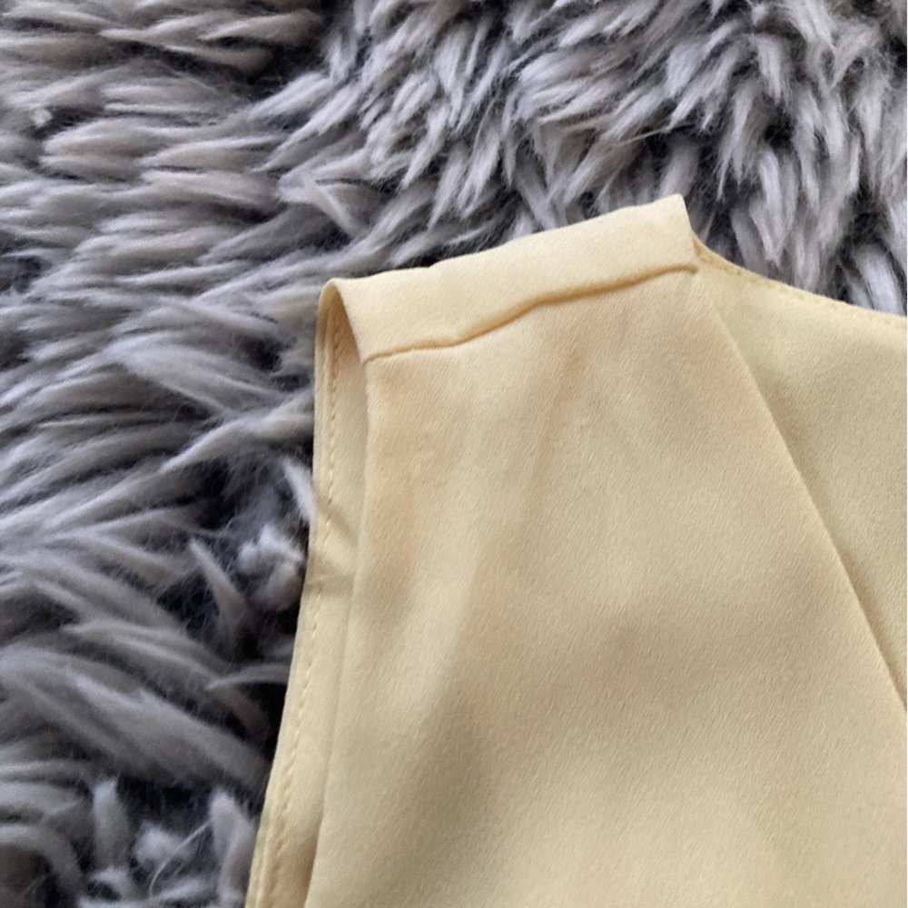 Aritzia Babaton XS Sleeveless Top - Picture 3 of 8